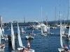 trofeo_delle_scuole_vela_(43)_ridimensionare